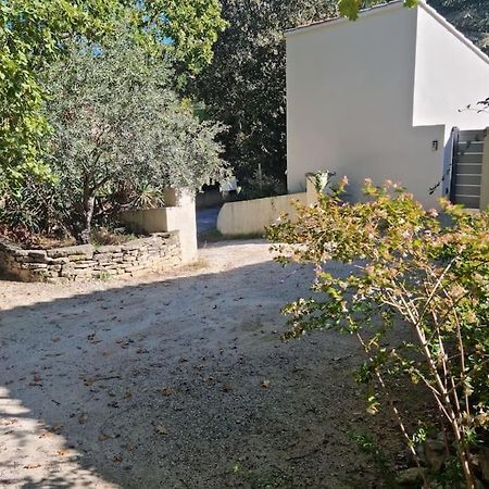 Nouveaute Studio Sur Les Hauteurs. Robion en Luberon Экстерьер фото